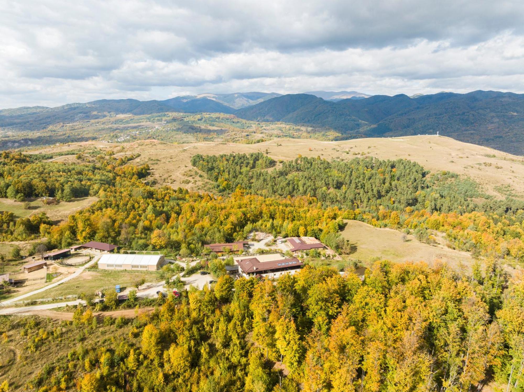 Potcoava Mountain Hideaway Hotel Runcu  Kültér fotó