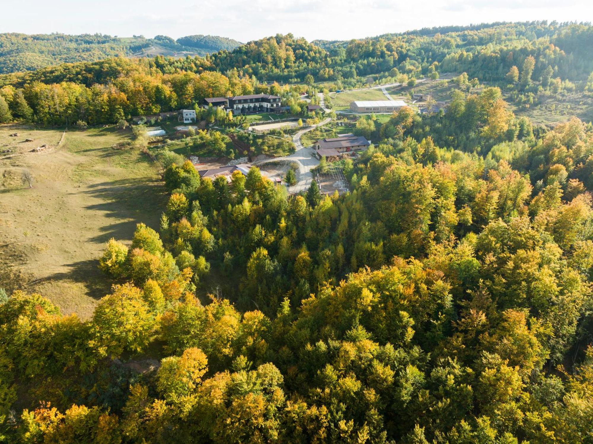 Potcoava Mountain Hideaway Hotel Runcu  Kültér fotó