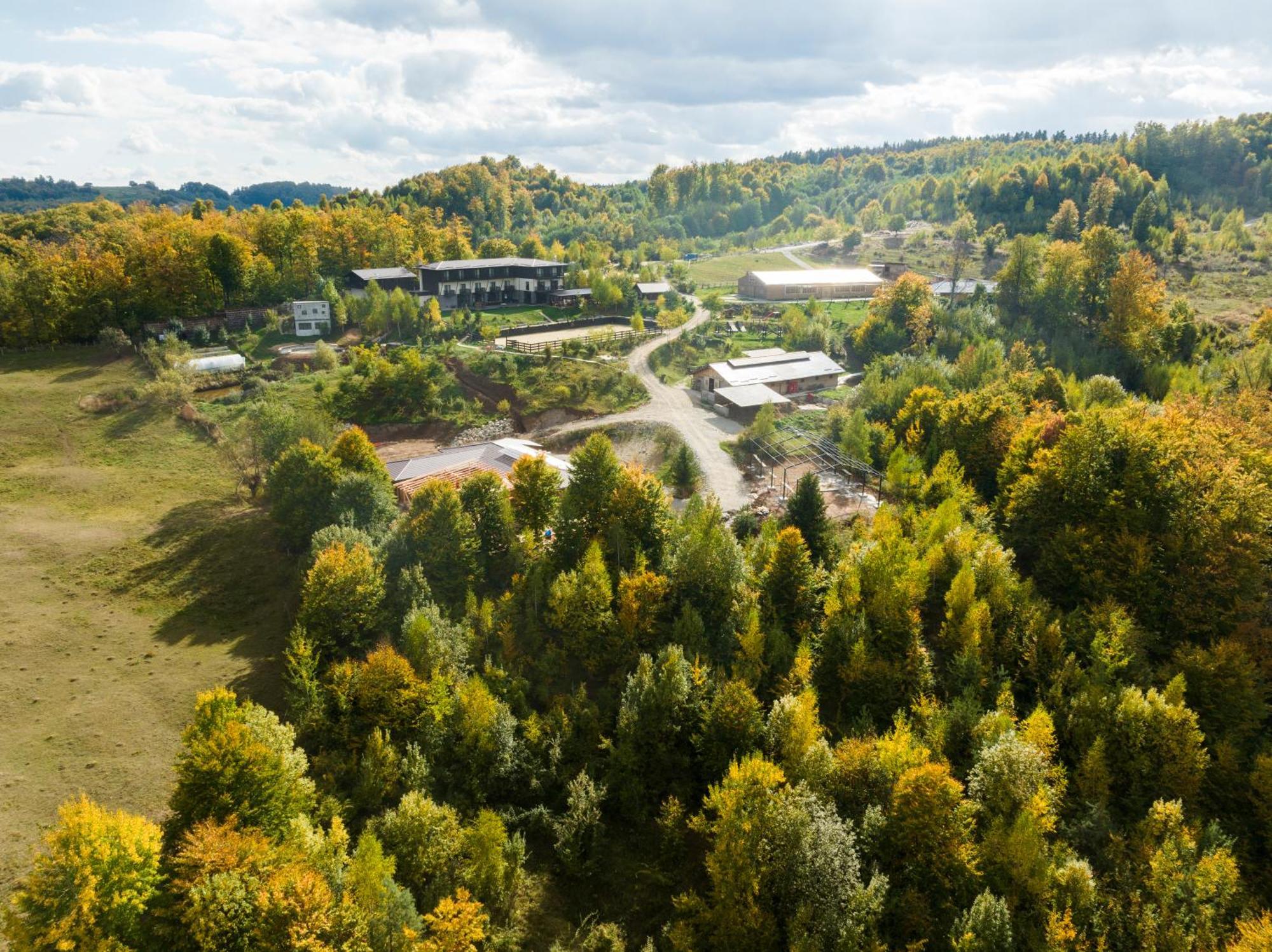 Potcoava Mountain Hideaway Hotel Runcu  Kültér fotó