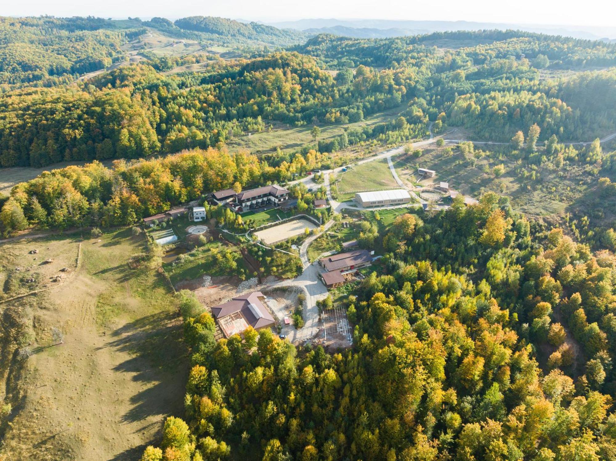 Potcoava Mountain Hideaway Hotel Runcu  Kültér fotó