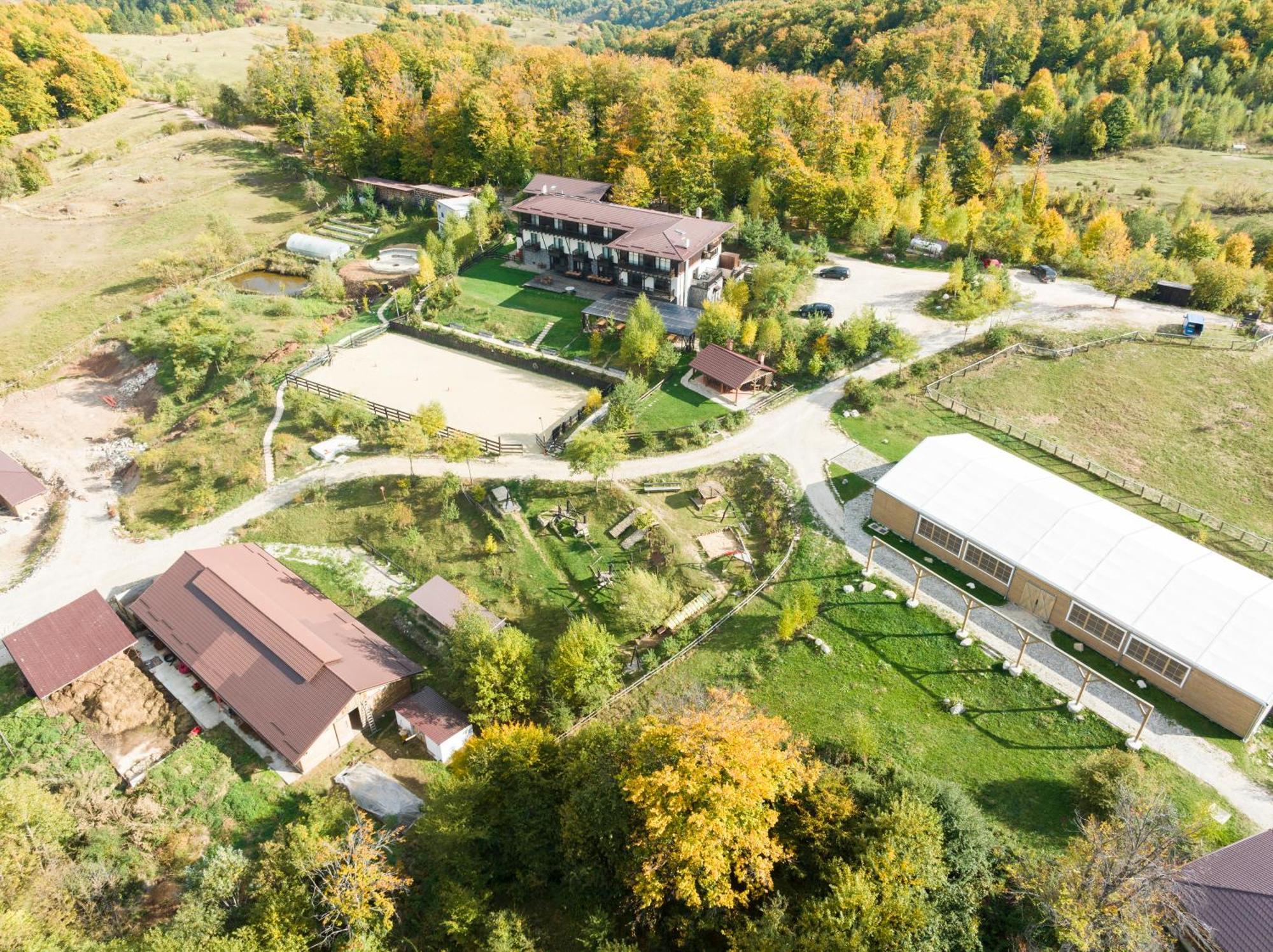 Potcoava Mountain Hideaway Hotel Runcu  Kültér fotó