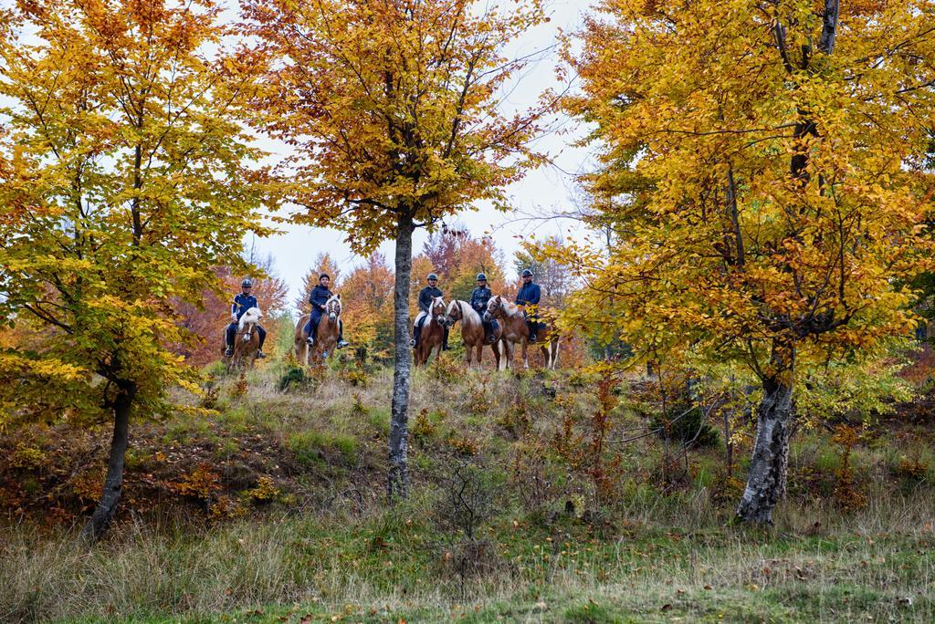 Potcoava Mountain Hideaway Hotel Runcu  Kültér fotó