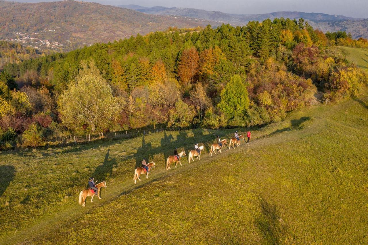 Potcoava Mountain Hideaway Hotel Runcu  Kültér fotó